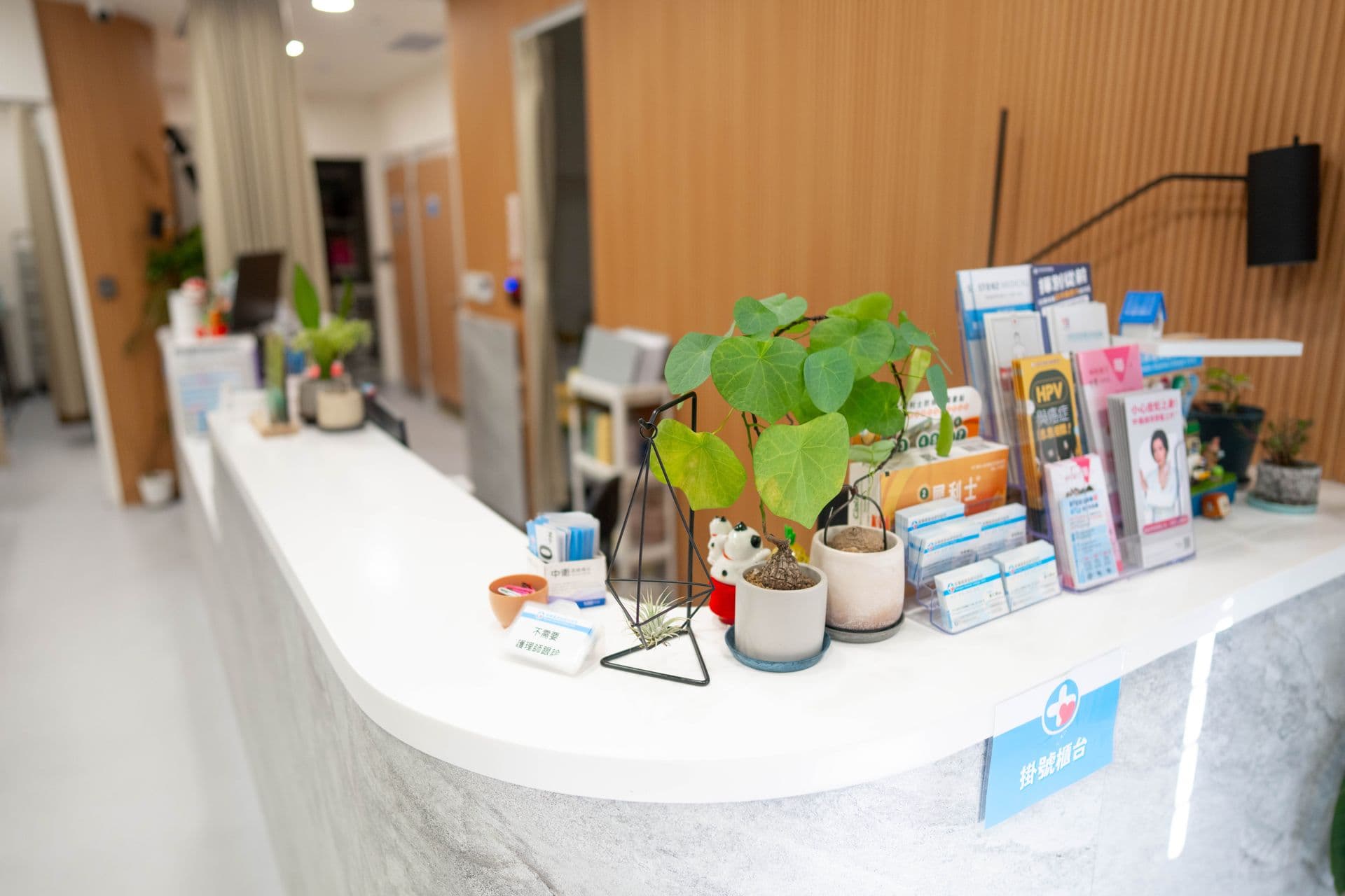 掛號櫃台特寫，石紋檯面與綠植裝飾