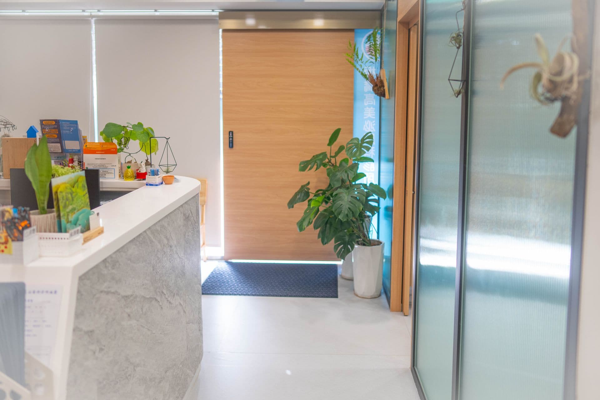 明亮候診空間，龜背芋與玻璃隔間
