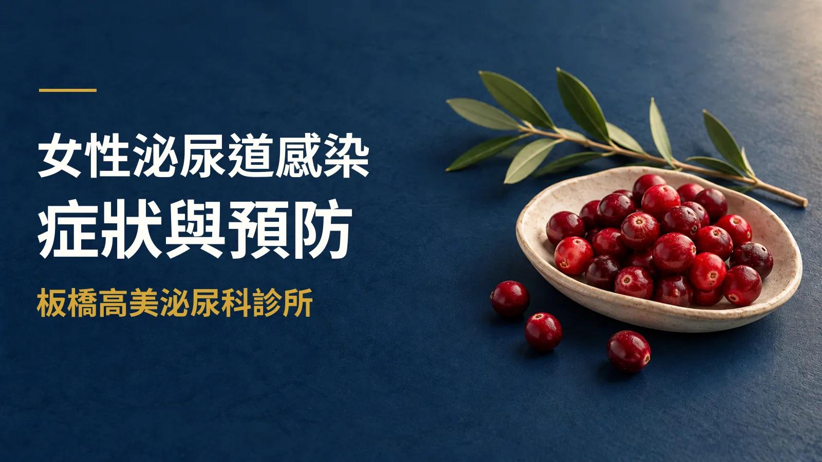 女性泌尿道感染完整指南:成因、症狀與預防方法