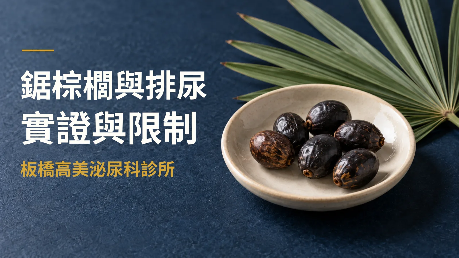 鋸棕櫚能改善頻尿、夜尿嗎?效果、限制與注意事項